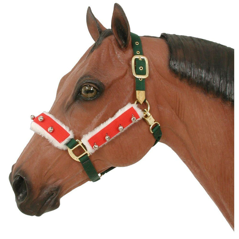 HOLIDAY HALTER KIT by Gift Corral