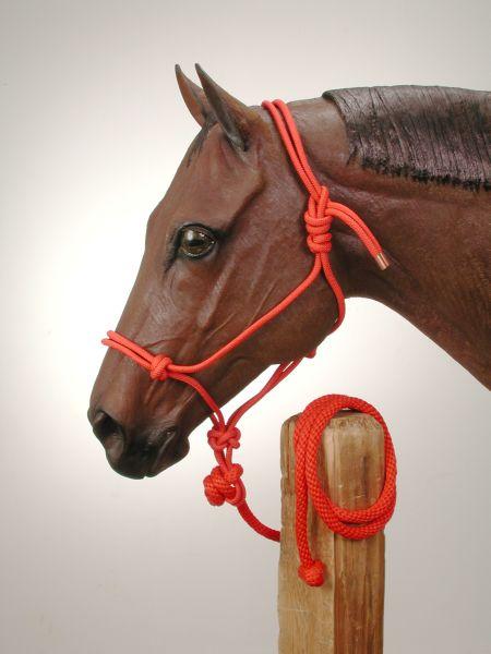 Tough-1 Poly Rope Tied Halter W/ Lead